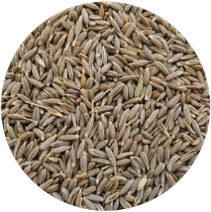 Cumin Seeds