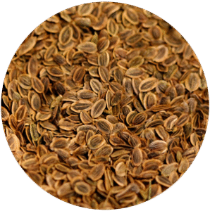 Dill Seeds