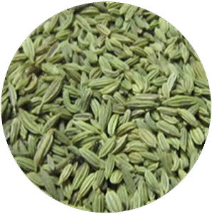 Fennel Seeds@