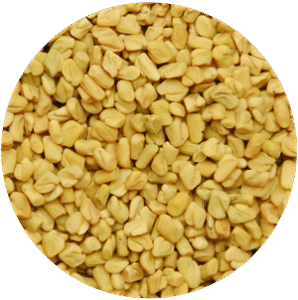 Fenugreek