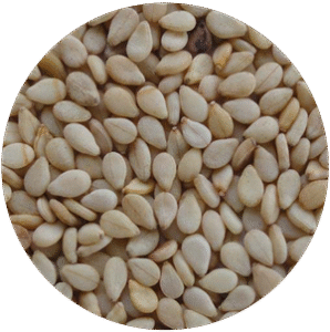 Natural Sesame Seeds